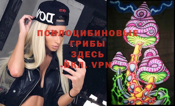 a pvp Кукмор