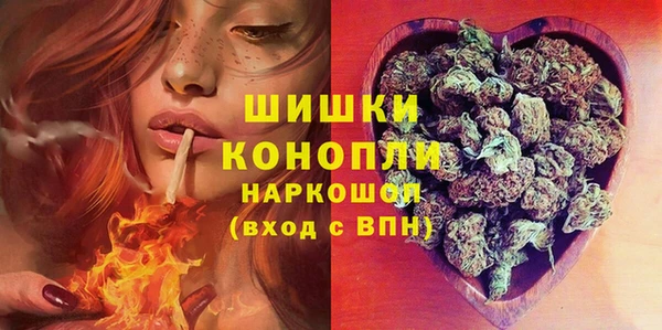 бошки Лабытнанги