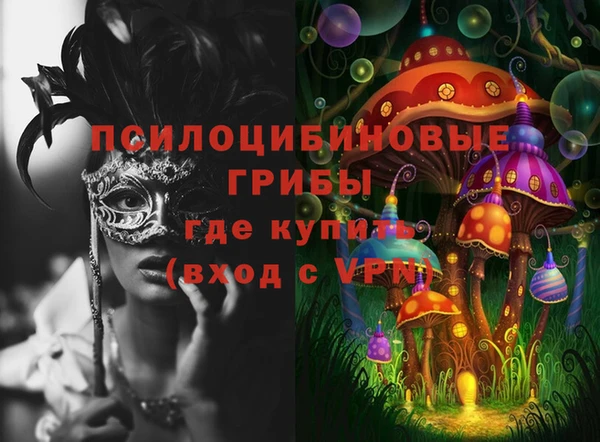 a pvp Кукмор
