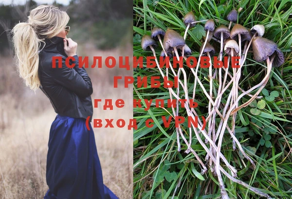 apvp Куйбышев