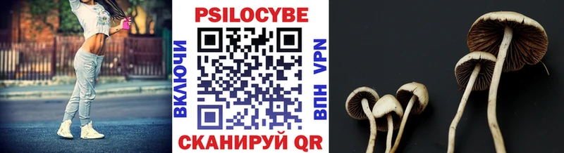 Купить закладки  Бузулук  Галлюциногенные грибы MAGIC MUSHROOMS 