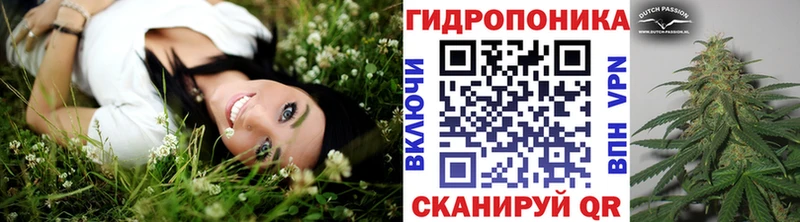 Купить где  Бузулук  Каннабис AK-47 